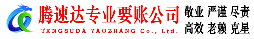大丰清债公司
